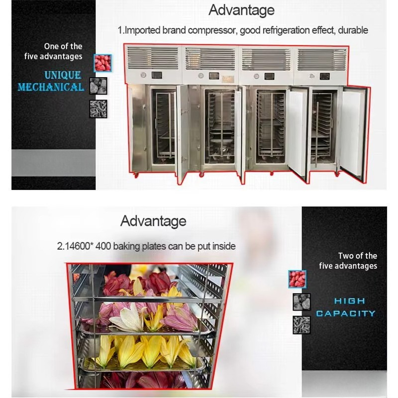 Máquina de Congelación Rápida  - Quick Food Snacks reseña y precio